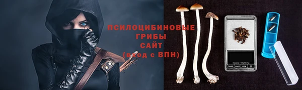 кокс Инта