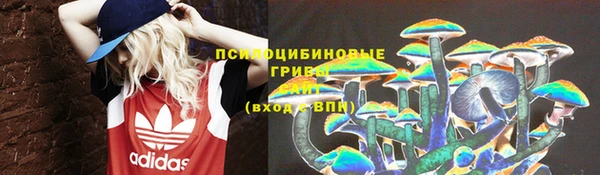 дживик Инсар