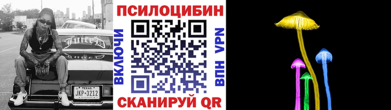 Галлюциногенные грибы GOLDEN TEACHER  Купить  Щигры 